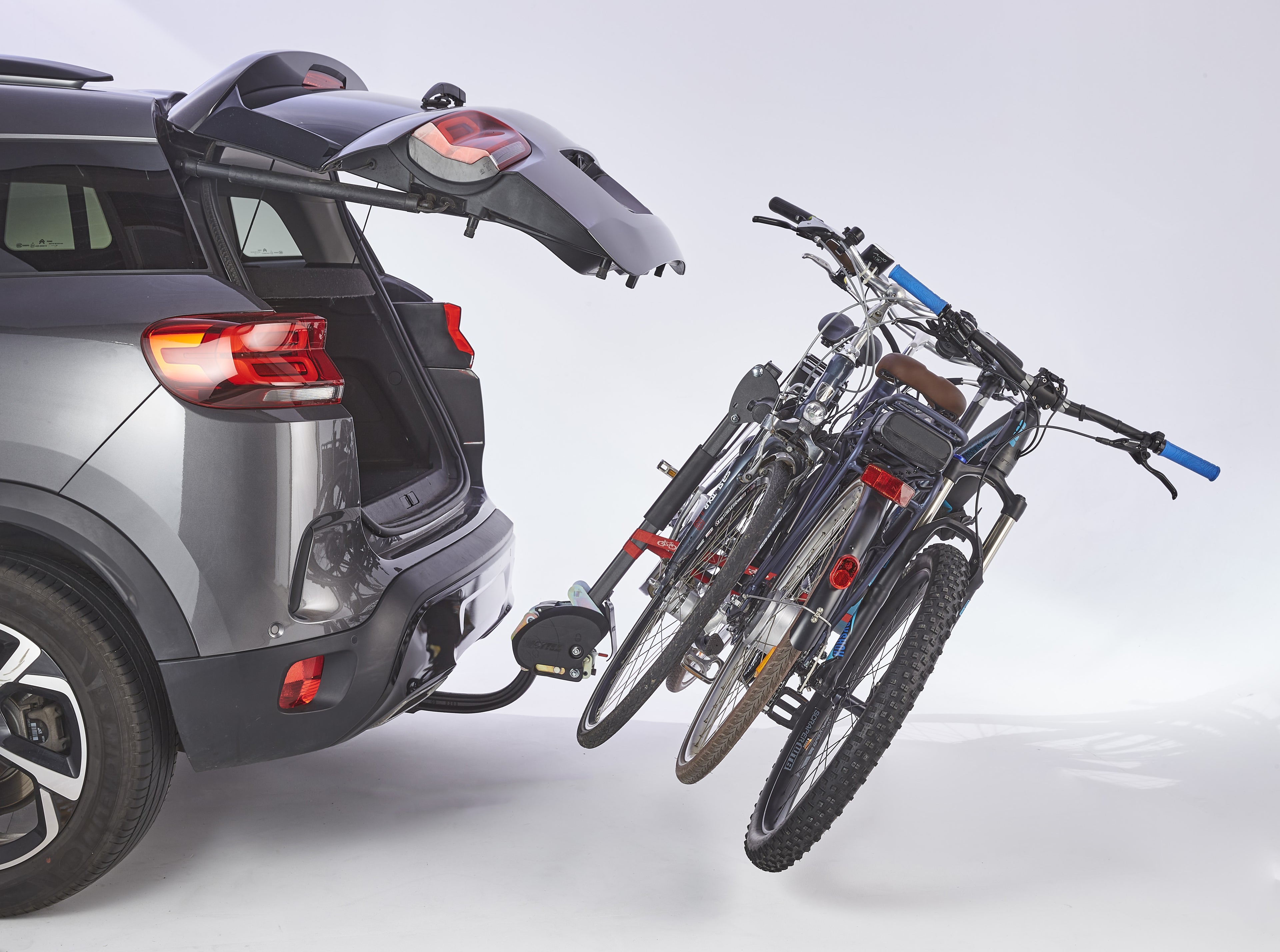 MOTTEZ HERCULE 3 עד 60 ק"ג