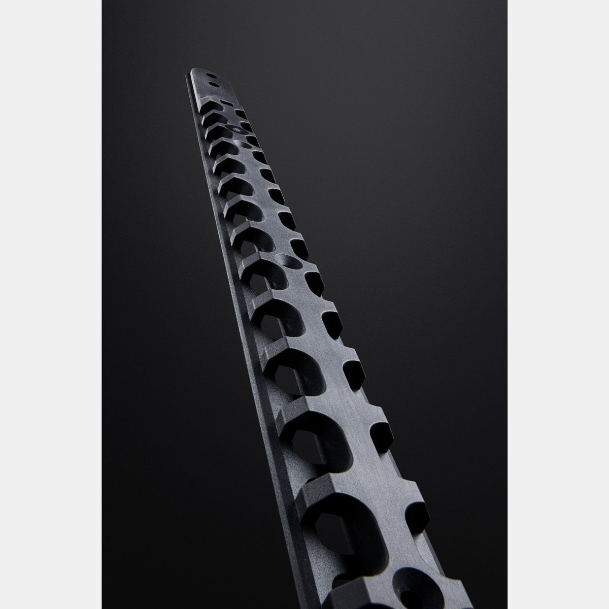 Steadyrack GearMate SteadySpine, מתלה אופניים לקיר