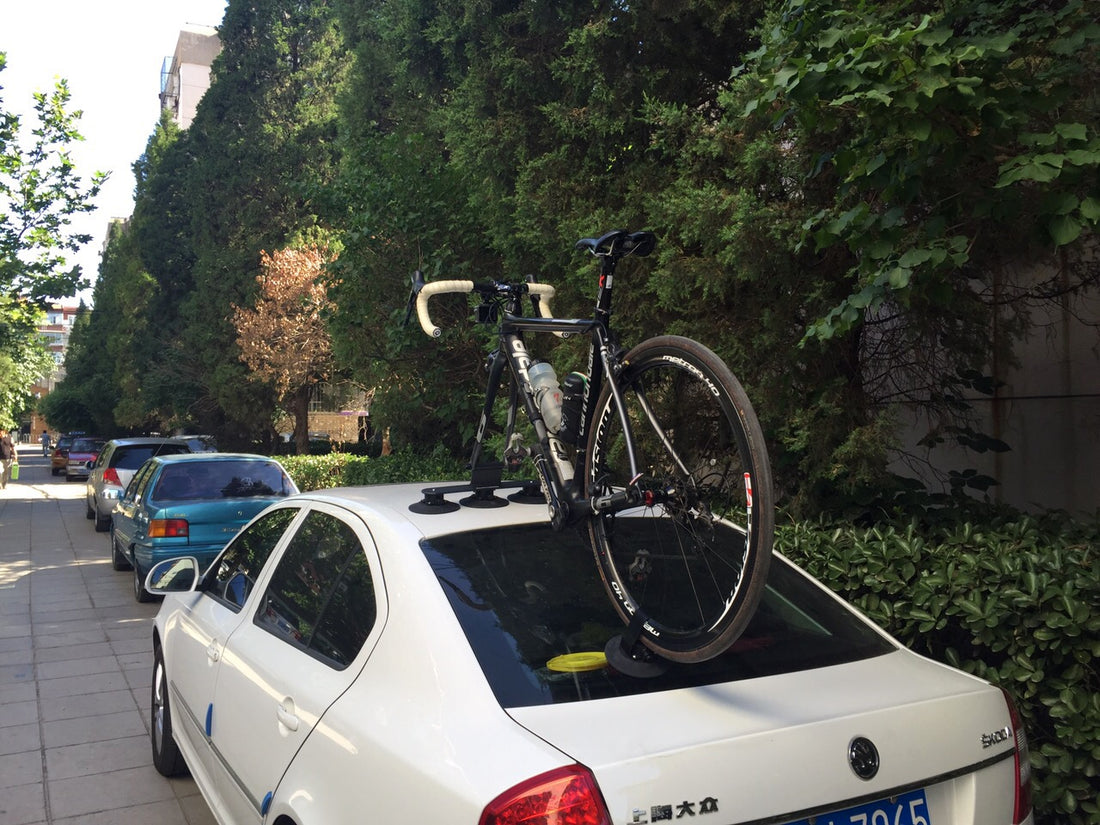 Treefrog Pro 1 PLUS עם מתאם אוניברסלי